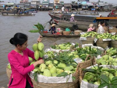 HCMC: Cai Rang Floating Market & Mekong Delta Private Tour - Boat-to-boat viewing and the vermicelli/coffee pit stop