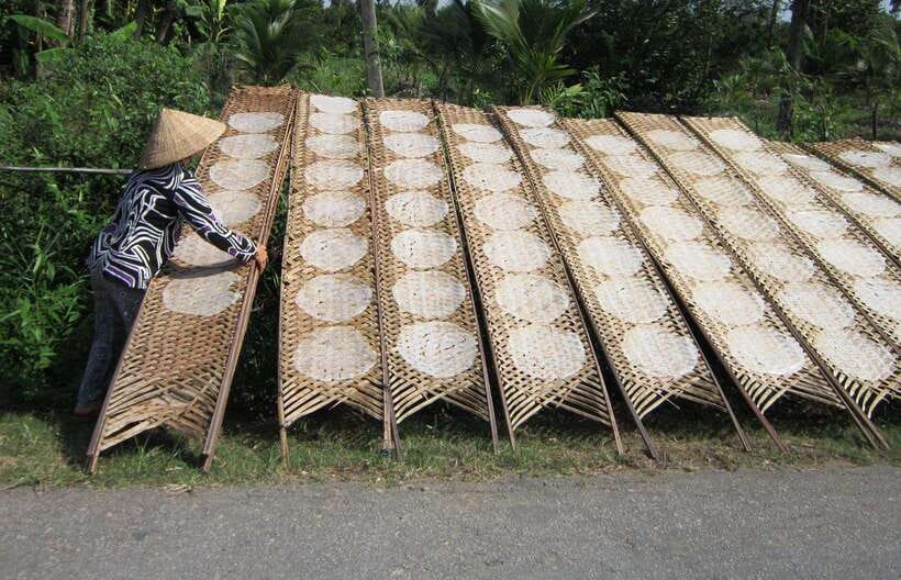 Ho Chi Minh City: Cai Rang Floating Market in Can Tho Tour - Key things to know before you go