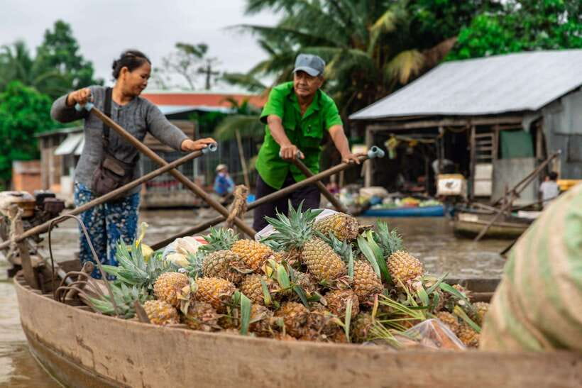 Ho Chi Minh City: Cai Rang Floating Market in Can Tho Tour - Leaving the boats for Son Islet: a different kind of calm