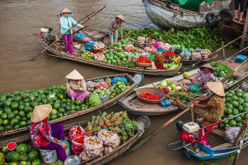 Ho Chi Minh City: Cai Rang Floating Market in Can Tho Tour - Walking Son Islet: fruit picking, monkey bridge, and garden time