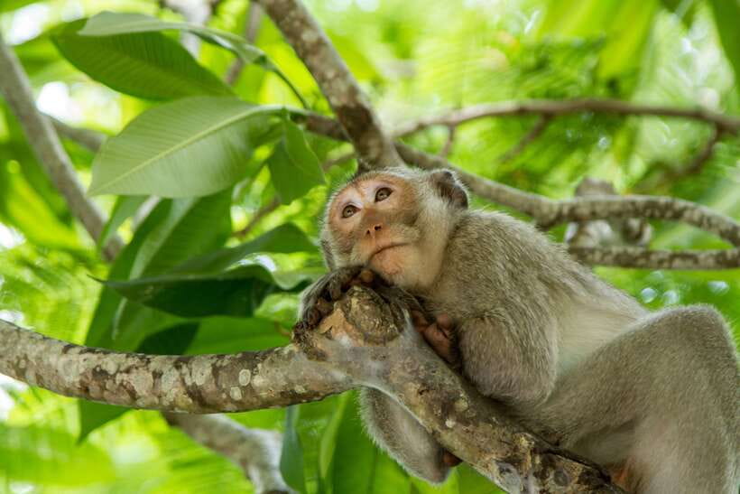 Ho Chi Minh City: Can Gio Eco Escape And Wildlife Discovery - Key Highlights You’ll Remember