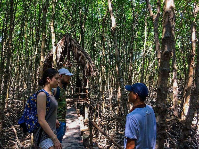 Ho Chi Minh City: Can Gio Eco Escape And Wildlife Discovery - Tang Bong Tower: 26 Meters of Biosphere Views
