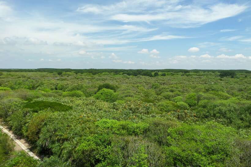 Ho Chi Minh City: Can Gio Eco Escape And Wildlife Discovery - Monkey Island and Can Gio Fauna: Where the Afternoon Gets Real
