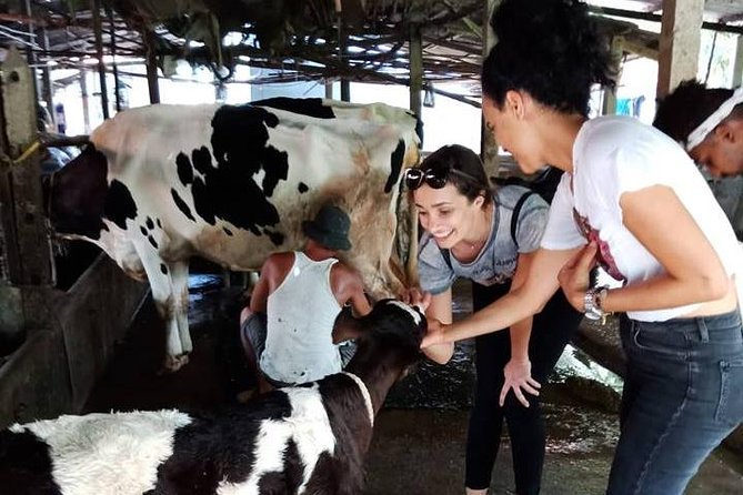 Ho Chi Minh City Full-Day Farm trip with Healthy Cooking Class - Getting there: the value of pickup and a small group