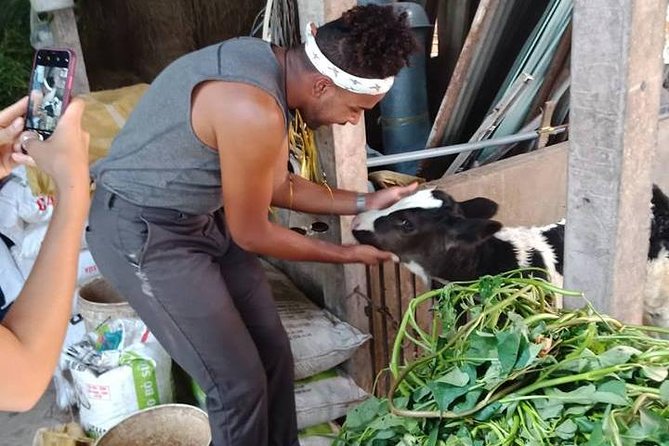 Ho Chi Minh City Full-Day Farm trip with Healthy Cooking Class - The take-home part: certificate and recipes you’ll actually want