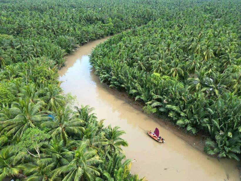Ho Chi Minh City: Mekong Delta Day Trip with Lunch & Drinks - Ho Chi Minh City to Ben Tre: the drive that sets your day up right