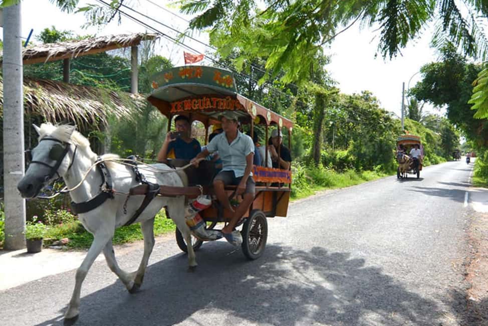 Ho Chi Minh Daily Tour: Full Day Mekong Delta (Private tour) - Key things I’d plan around