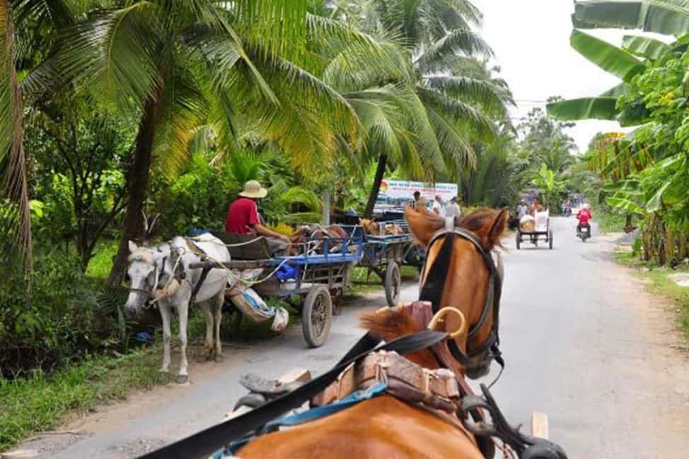 Ho Chi Minh Daily Tour: Full Day Mekong Delta (Private tour) - Lunch with elephant ear fish: what’s included and why it matters