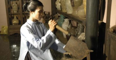Ho Chi Minh: Fito Museum Admission Ticket - What You’ll See: Vietnamese Traditional Medicine Through Objects