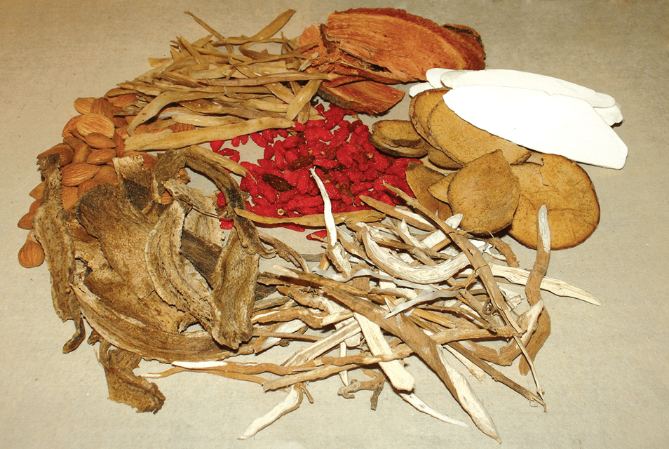 Ho Chi Minh: Fito Museum Admission Ticket - The Library: Books and Traditional Medicine Documents