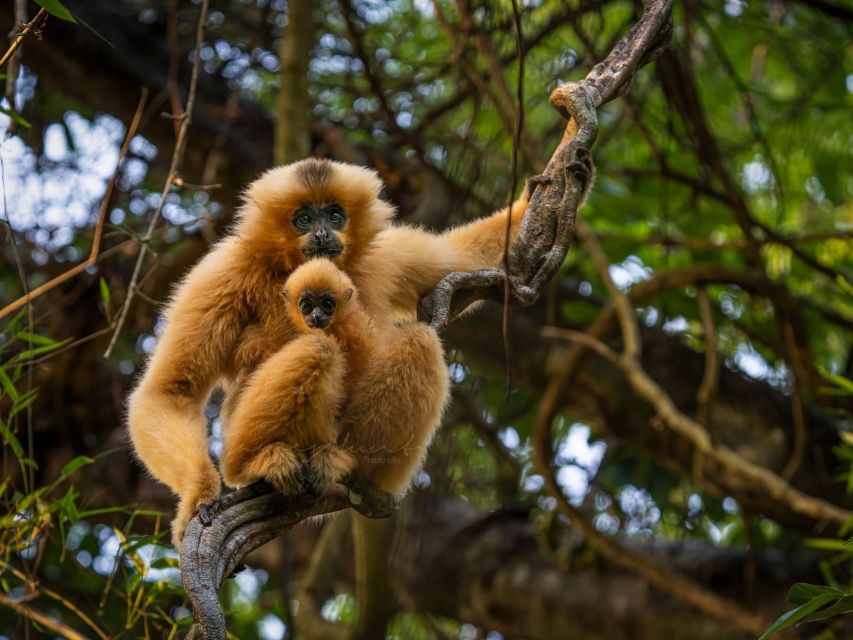 Ho Chi Minh to Cat Tien National Park – Dalat (3 days) - Who should choose this Saigon–Cat Tien–Dalat route