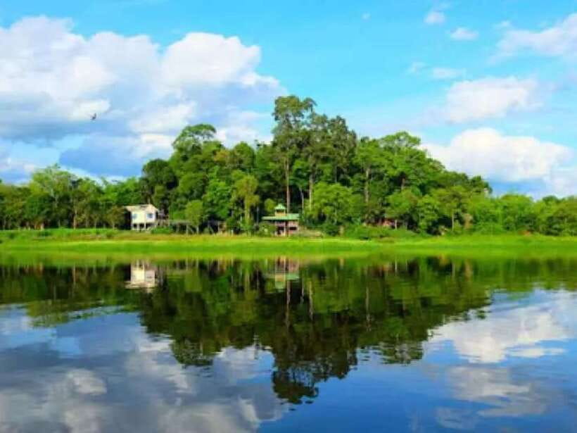 Ho Chi Minh to Cat Tien National Park – Dalat (3 days) - The Bear Rescue Center: conservation, not just scenery