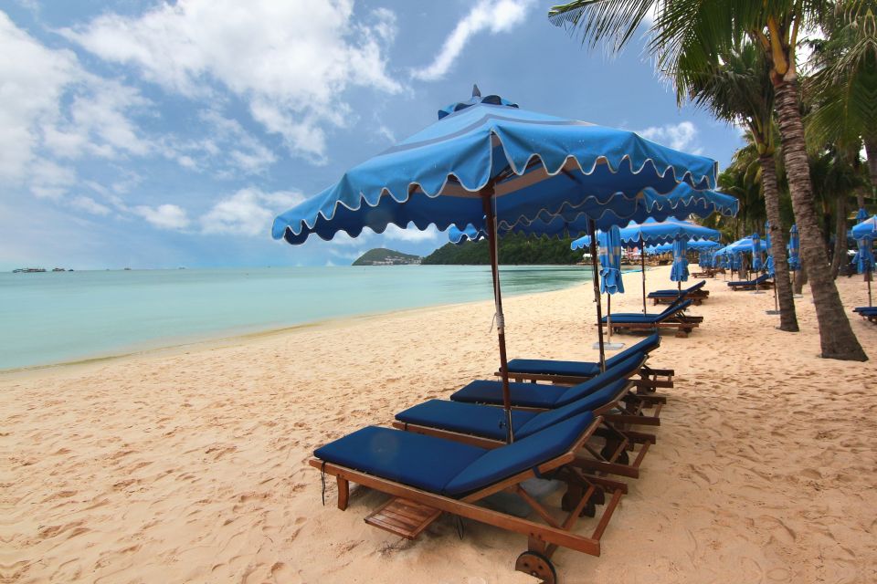 Ho Coc Beach, Nature Reserve & Dragon Fruit Farm Day Tour - Ho Coc Beach (Hồ Cốc): private access and real downtime