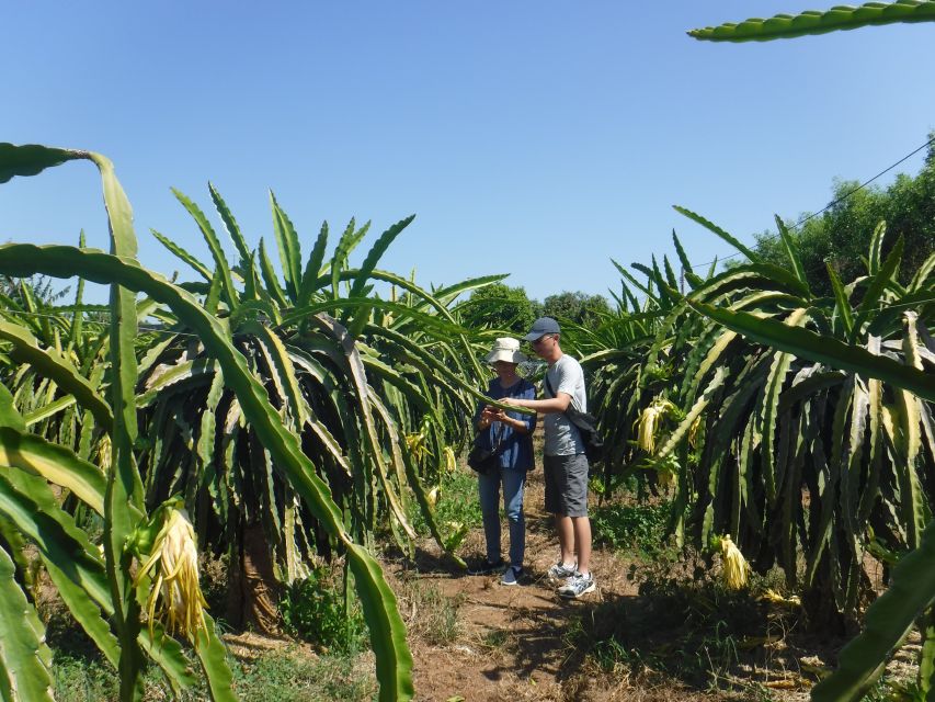 Ho Coc Beach, Nature Reserve & Dragon Fruit Farm Day Tour - Quick practical notes before you book