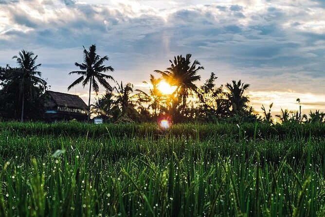 LUXURY Mekong 2 Days 1 Night SMALL GROUP Stay at Tiny Homestay with BBQ Dinner - Who should book this Mekong small-group homestay?