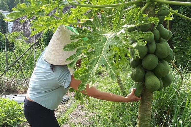 Market to Farm to Table Cooking Class in saigon - 7:30am Pickup and the Wet Market Ingredient Hunt