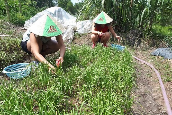 Market to Farm to Table Cooking Class in saigon - Picking Your Own Produce (Yes, You Really Do)