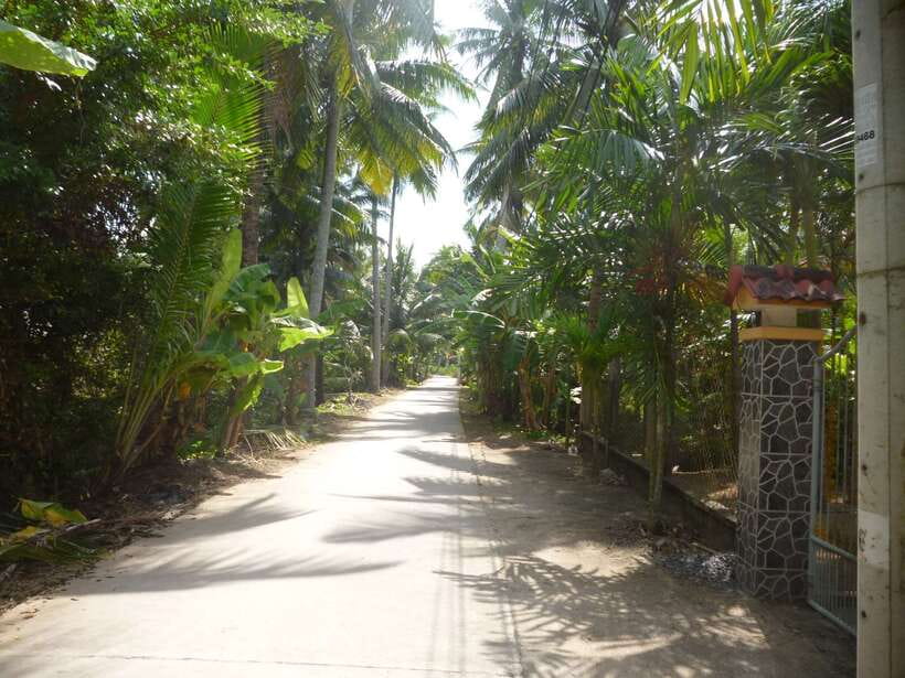 Mekong Day Tour by Car:Cai Be market, Local Island & Cycling - A private Mekong day from Ho Chi Minh City (and why that matters)