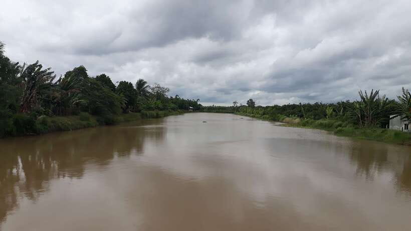 Mekong Day Tour by Car:Cai Be market, Local Island & Cycling - Lunch at a local house: home-style Mekong Delta food without the drama