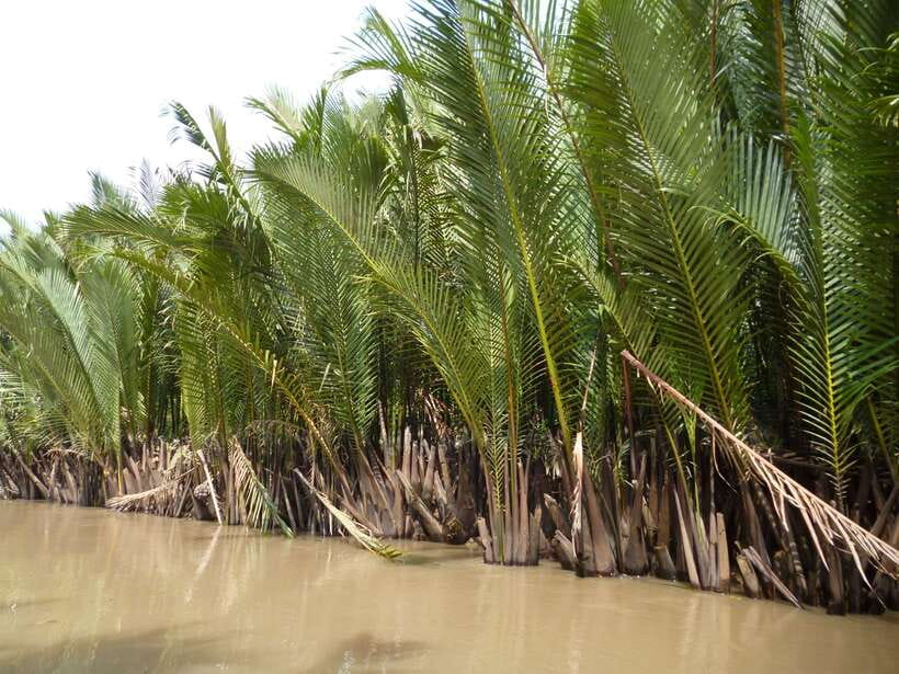 Mekong Day Tour by Car:Cai Be market, Local Island & Cycling - Return to Ho Chi Minh City by 5:30–6:00 PM: a long day, paced well