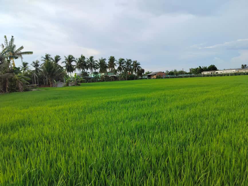 Mekong Day Trip Group 12pax Explore Bicycle & Cooking Class - Why this Mekong Delta day trip feels built for real life