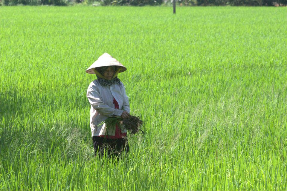 Mekong Delta Private Tour from Ho Chi Minh City - Cruising the Mekong: Tortoise Islet to Unicorn Islet