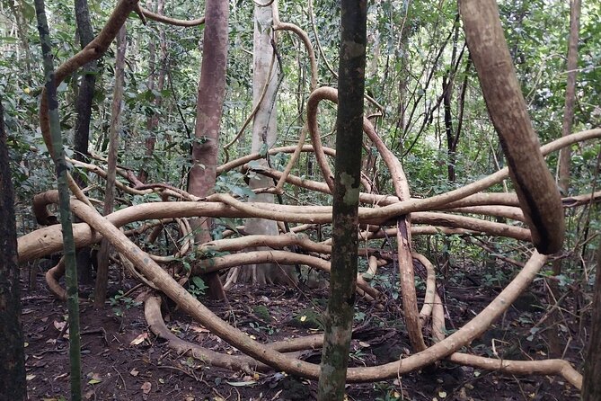 Nam Cat Tien National Park 2-Day Tour with Lodging, Meals.. - Meals and lodging: where the value shows up