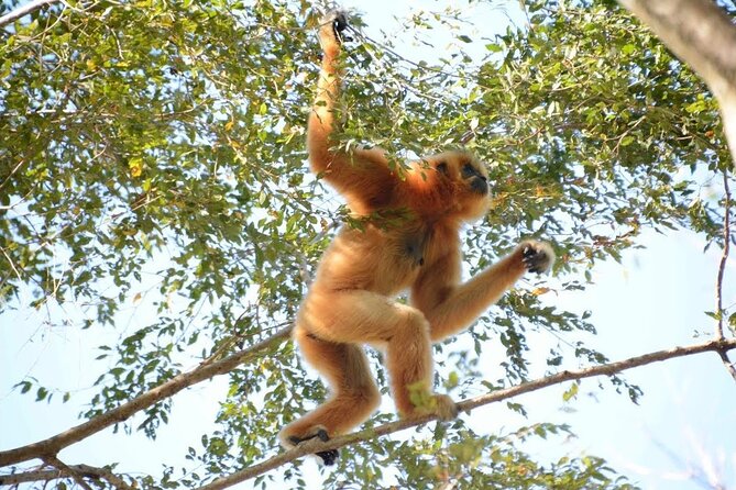 Nam Cat Tien National Park 2 Days 1 Night - Private Tour - Who should book this private Cat Tien 2-day plan