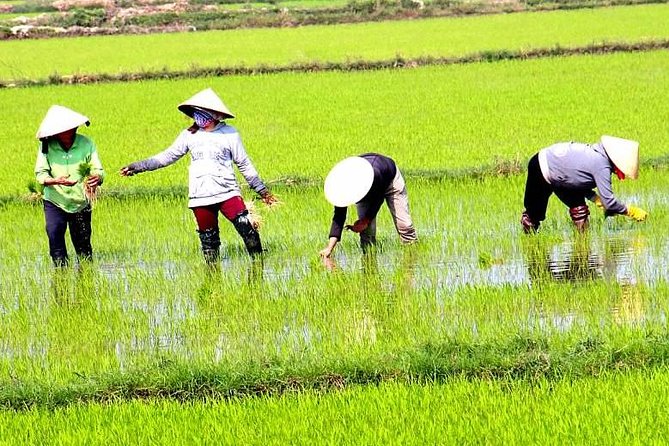Private - An Authentic Mekong Local Version - Day Tour - Morning pickup in Ho Chi Minh City: start at 7:30, get ready for a full day