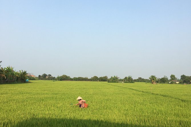 Private - An Authentic Mekong Local Version - Day Tour - Scooter time: rice fields, villages, and dragon fruit areas