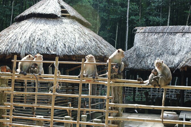 Private Can Gio Biosphere Reserve Day Trip from Ho Chi Minh City - Soft Trek Inside the Mangroves: Stretching Your Legs the Right Way