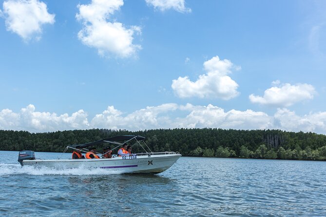 Private Can Gio Biosphere Reserve Day Trip from Ho Chi Minh City - Bird Sanctuary and Watchtower: Thousands of Birds, Not Just One Big Point