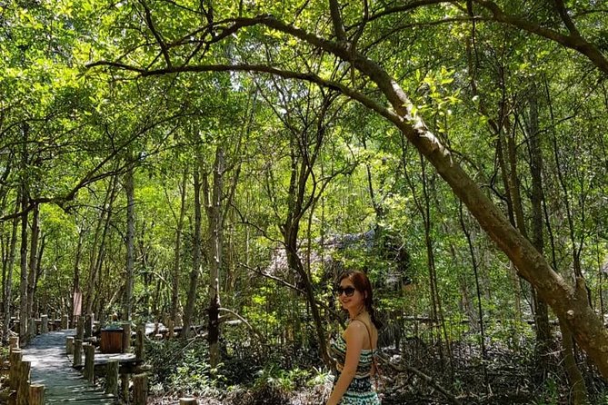 Private Can Gio Mangrove Eco Tour – Boat & Wildlife - Vam Sat canopy tower: views worth the climb