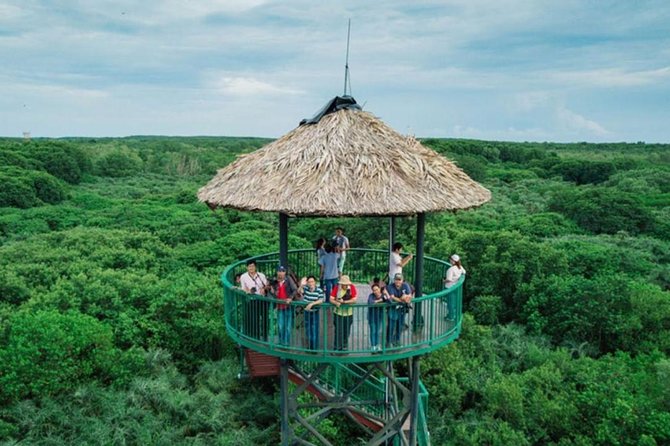 Private Can Gio Mangrove Eco Tour – Boat & Wildlife - Price and value: is $147 per person worth it?