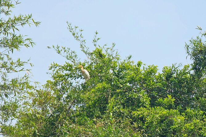 Private Full Day Mekong Delta Tour to Dong Thap Muoi Wetlands - Key highlights you’ll remember