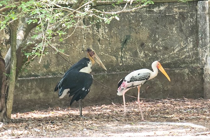 Private Full Day Mekong Delta Tour to Dong Thap Muoi Wetlands - The 3-hour road ride: comfort, timing, and what to expect
