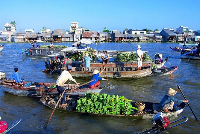 PRIVATE LUXURY Mekong 1 Day with Biking, Fishing, Cooking Class & BBQ LUNCH - Bee farm stop: honey-sweetened tea and learning the story