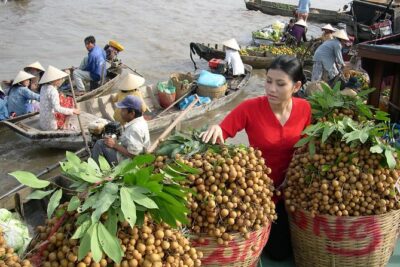 PRIVATE LUXURY Mekong Delta full day from HCM city - The drive to My Tho and Ben Tre: see the delta before you board