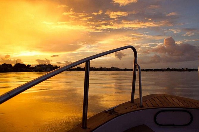PRIVATE Luxury Sunset Mekong Afternoon trip from HCM city - Bee farm, honey tea, and quiet rowing branches