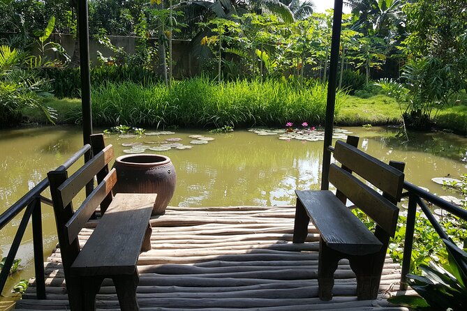 Private Mekong Delta Less Tourist - Coconut Island Tour - Ben Tre by Tan Thach canal: pomelo garden, bee farm, and honey tea