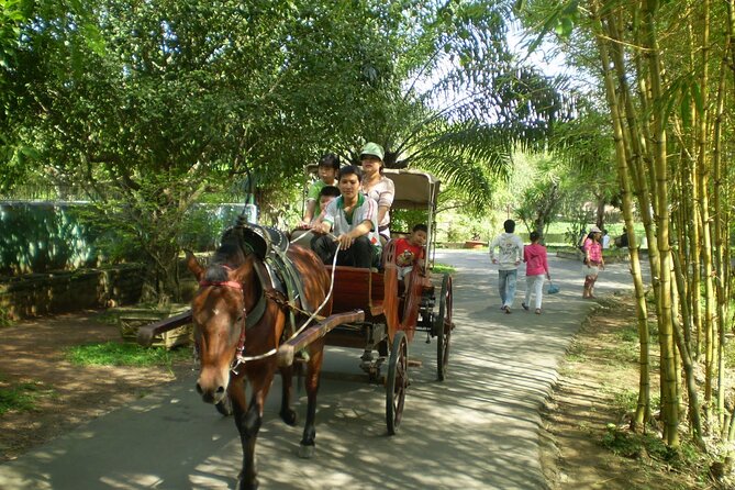Private Mekong Delta (My Tho - Ben Tre) Full Day by Air-conditioned Car - What Makes This My Tho–Ben Tre Day Trip Worth $85