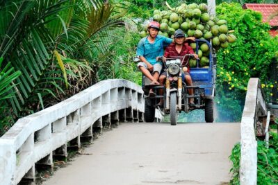 Private Mekong Delta & My Tho Full-Day Guided Tour - Orchids, Honey Tea, and a Honey Bee Farm Stop That Breaks Up the Day