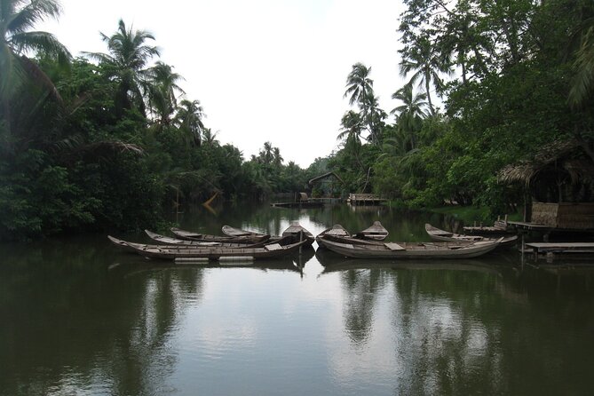 Private Mekong Delta Shore Excursions from Cruise Port - Tan Thach Natural Canal and Rowboat Time in Ben Tre