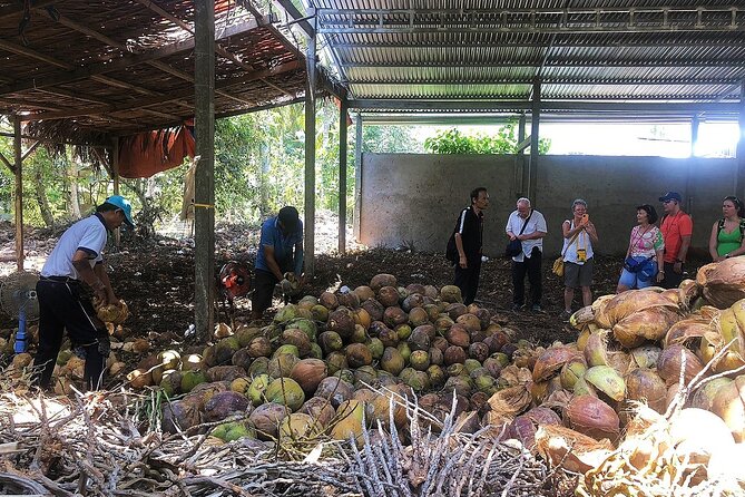Private tour: Explore the authentic rural life in Ben Tre - Price and timing: is $46.67 per person worth it?