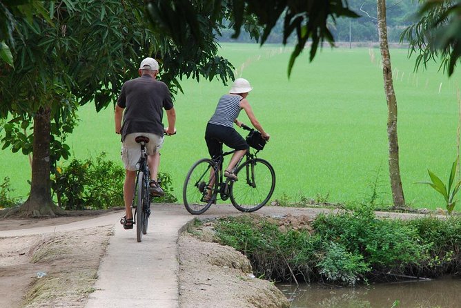 Private Tour Mekong Delta Day Trip from Ho Chi Minh City - Who This Private Mekong Delta Day Trip Is Best For