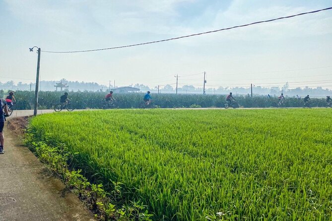 Saigon Countryside Cycling Adventure - Cao Dai temple stop: a quick lesson you’ll remember