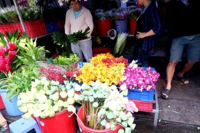 Saigon Morning Excursion by Scooter - District 3 on the Clock: Thích Quảng Đức and the Nguyen Thien Thuat Area