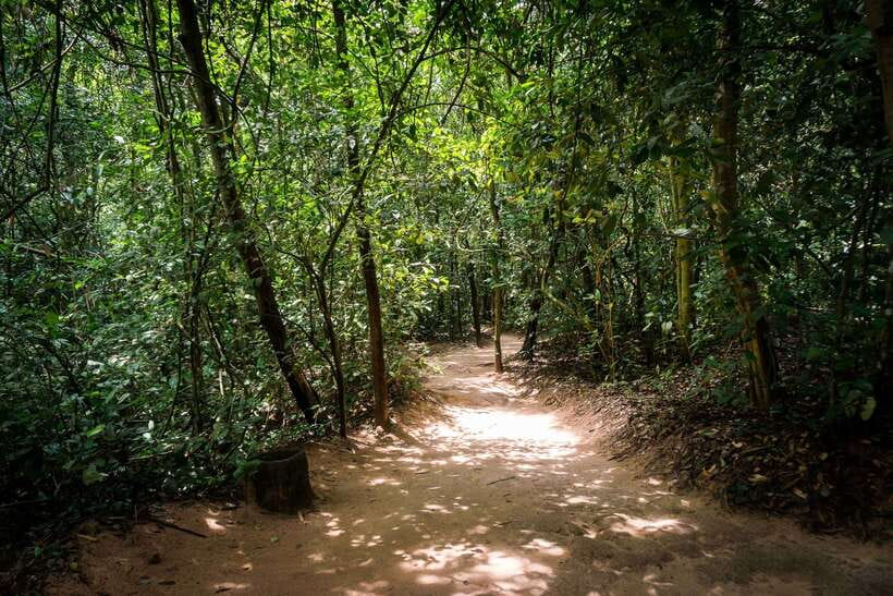 Small Group Full-Day Cu Chi Tunnels and Mekong Trip - Timing and logistics: the road hours, the heat, and your best gear
