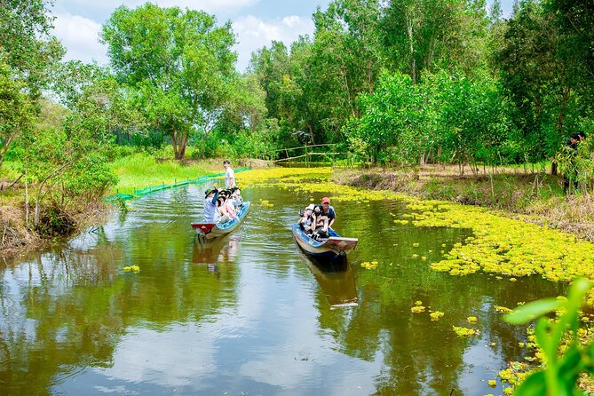 Southern Forest Tour – Explore Hau Giang Nature - Hau Giang’s forest feels close-up, not distant
