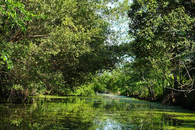 Southern Forest Tour – Explore Hau Giang Nature - Top deck views and narrow forest tracks: mixing water and walking
